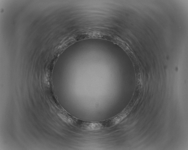 X0000083040663200702161708