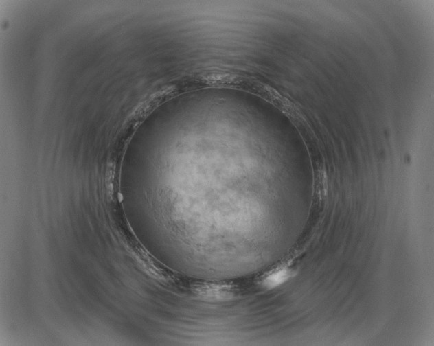 X0000083040664200702161708