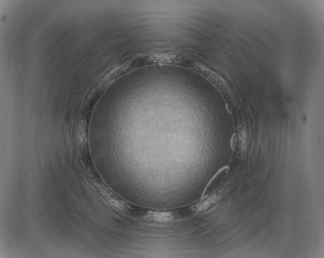 X0000083040665200702161708