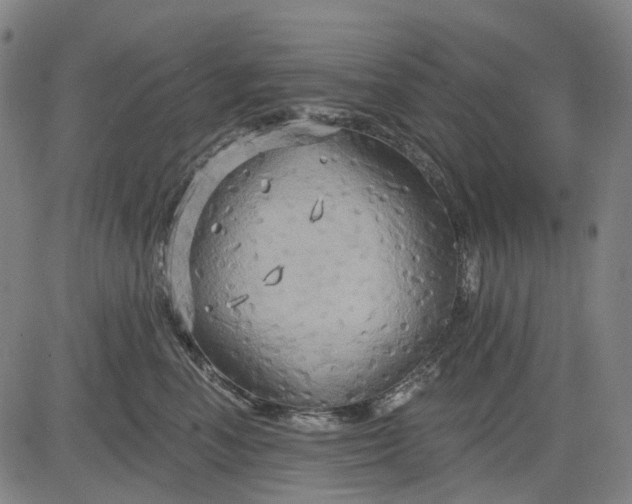 X0000083040666200702161708