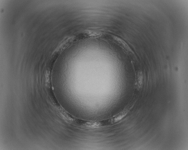 X0000083040667200702161708