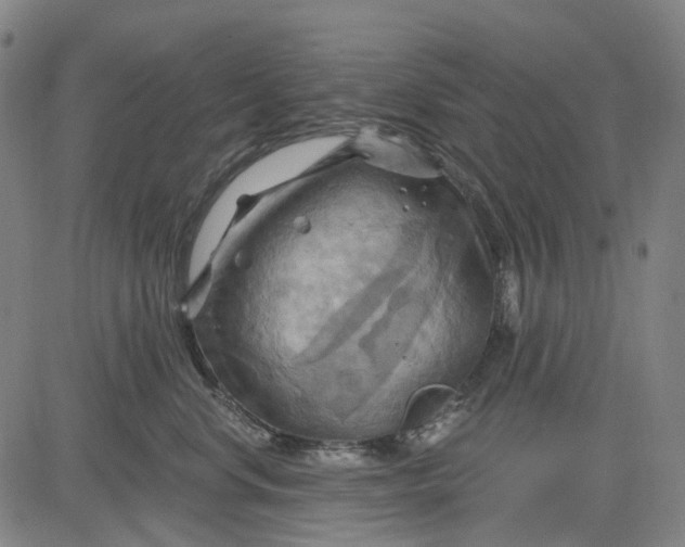 X0000083040668200702161708