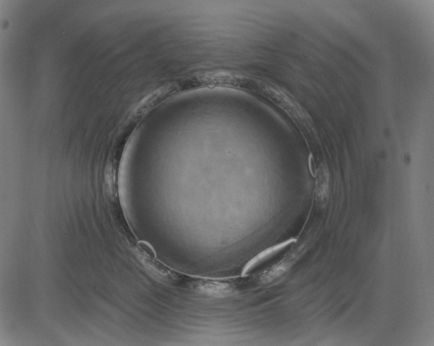 X0000083040669200702161708