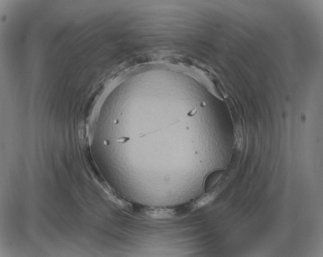 X0000083040670200702161708