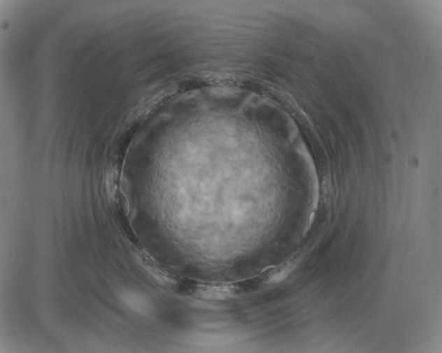 X0000083040671200702161708