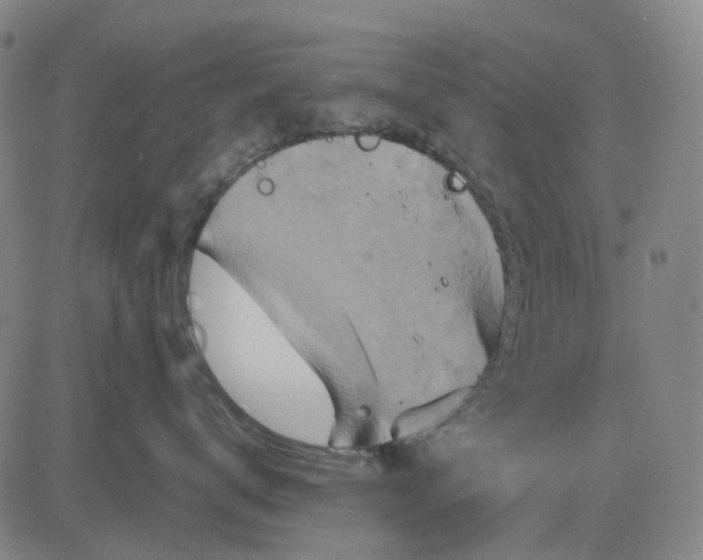 X0000083040672200702161708