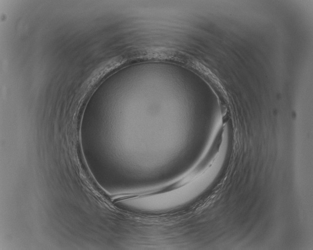 X0000083040673200702161707