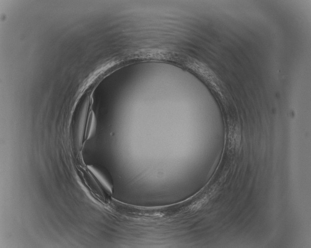 X0000083040674200702161707