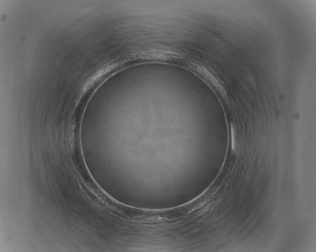 X0000083040675200702161707