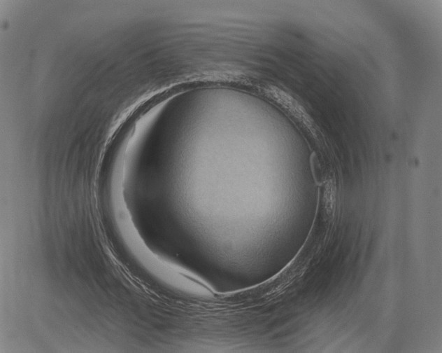 X0000083040676200702161707