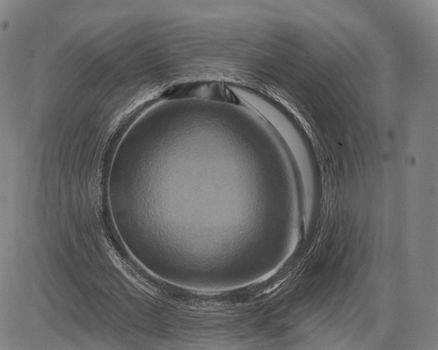 X0000083040677200702161707