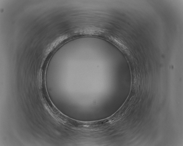 X0000083040678200702161707