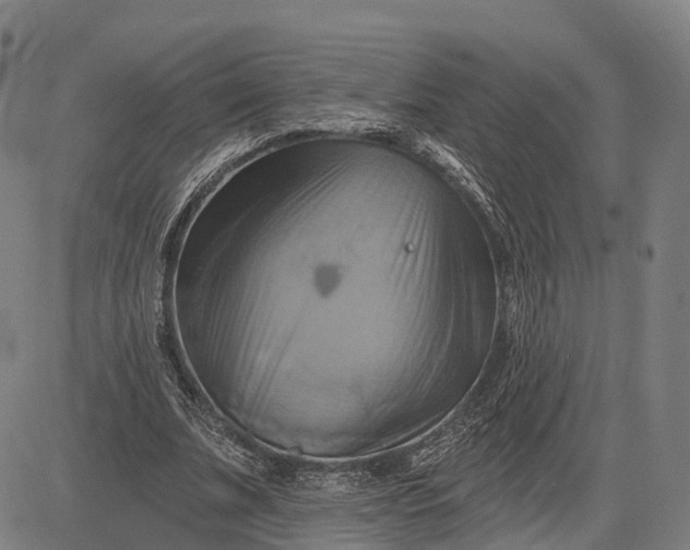 X0000083040679200702161707