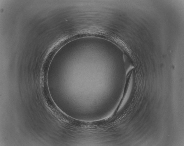 X0000083040680200702161707