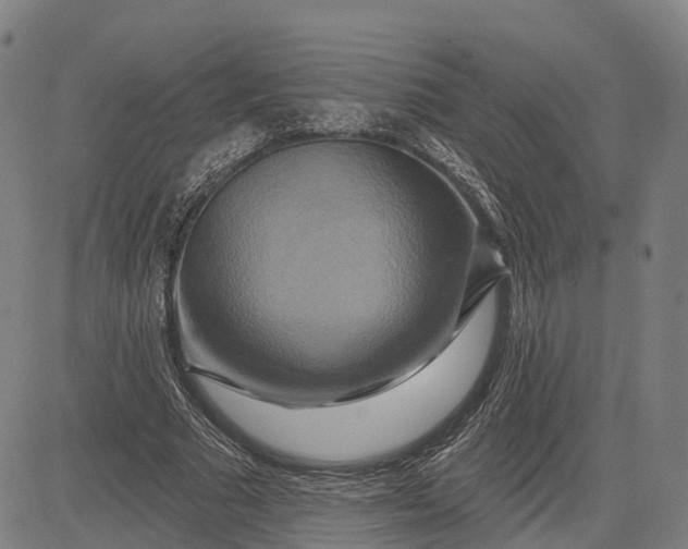 X0000083040681200702161707