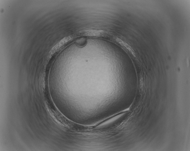 X0000083040682200702161707