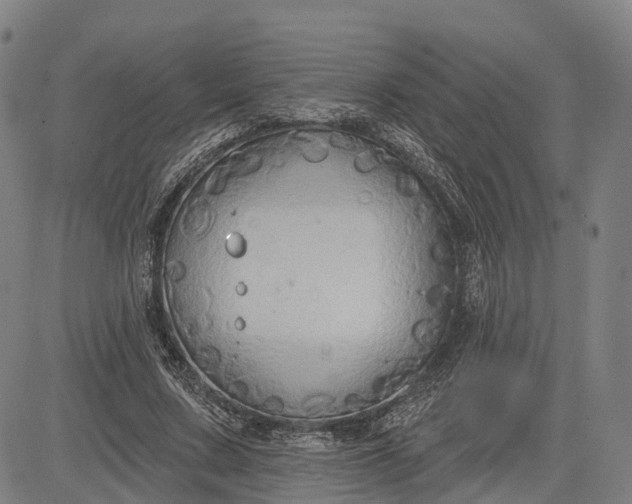 X0000083040683200702161707