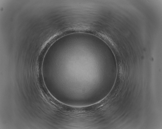 X0000083040684200702161707