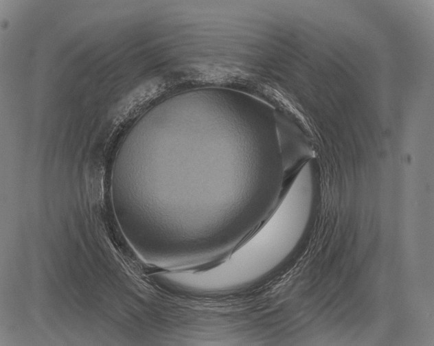 X0000083040685200702161707