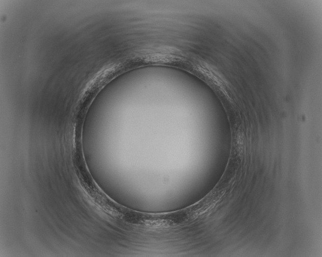 X0000083040686200702161707