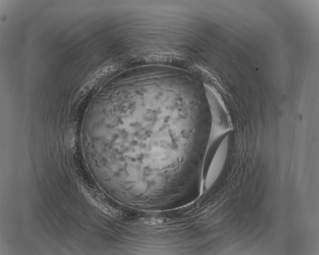 X0000083040687200702161707