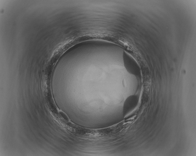 X0000083040688200702161707