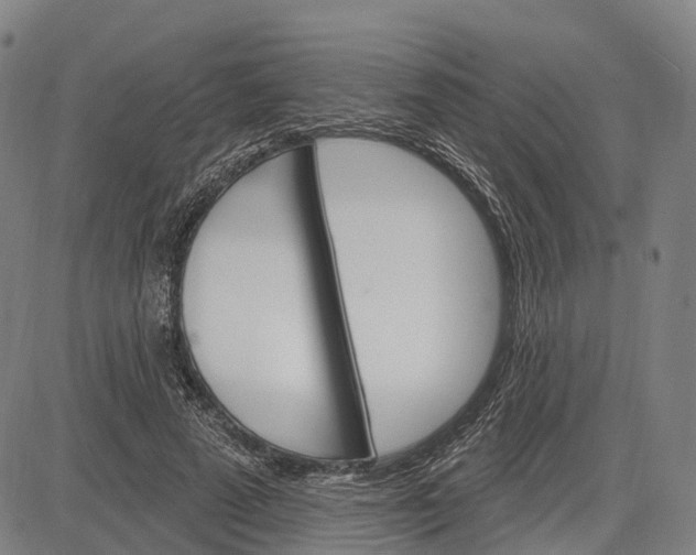 X0000083040689200702161707