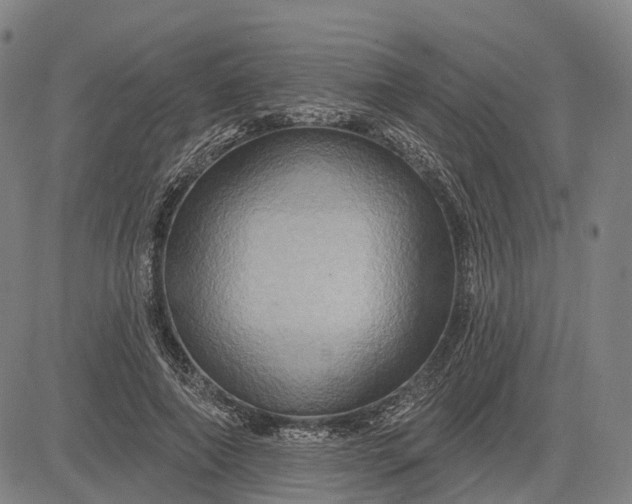 X0000083040690200702161707