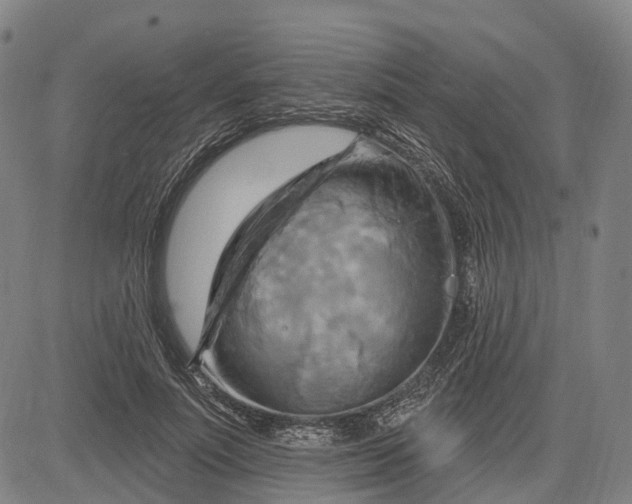 X0000083040691200702161707