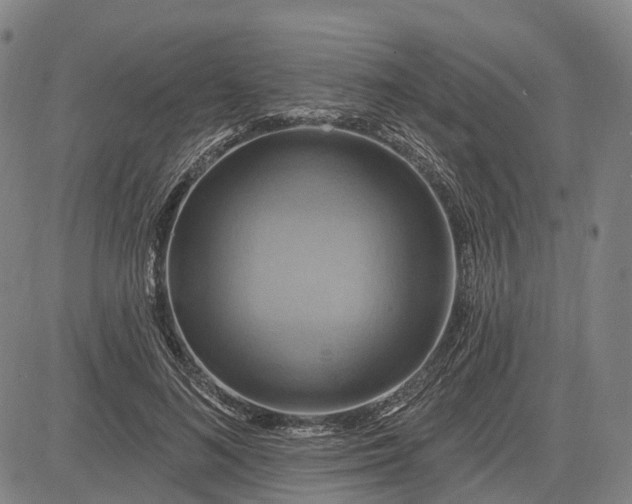 X0000083040692200702161707