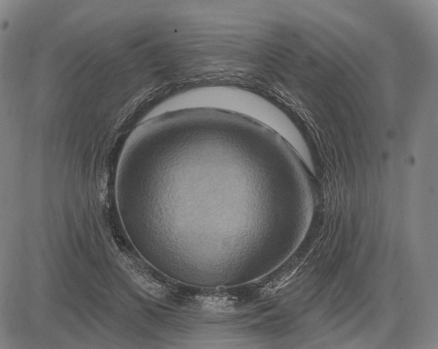 X0000083040693200702161707