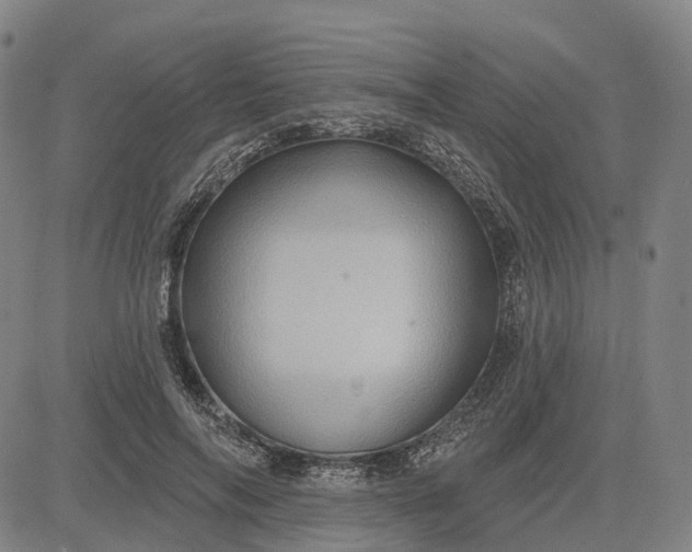 X0000083040694200702161707