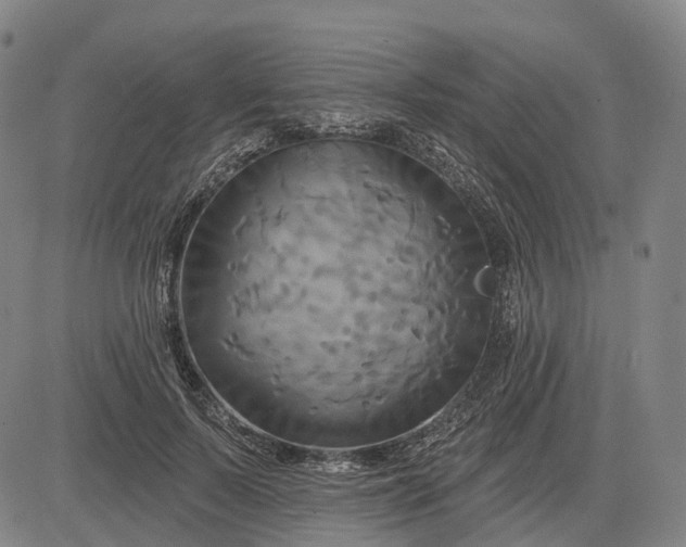 X0000083040695200702161707