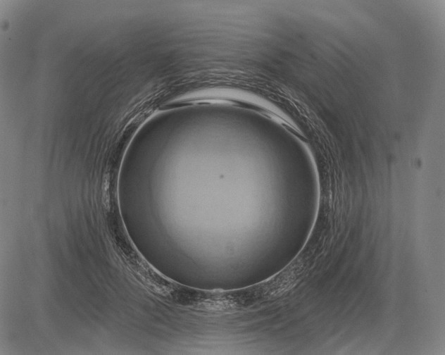 X0000083040696200702161707