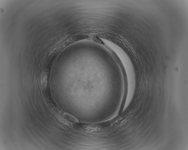 X0000083040697200702161707