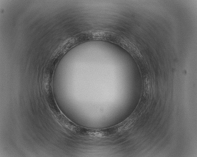 X0000083040698200702161707