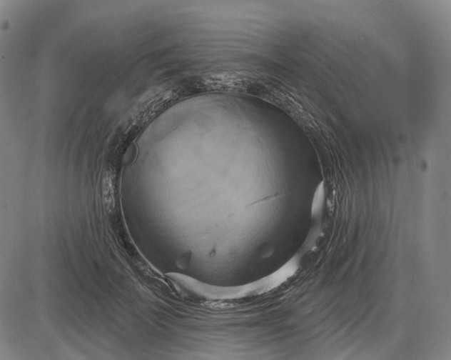 X0000083040699200702161707