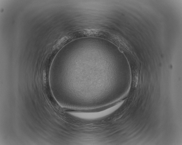 X0000083040700200702161707