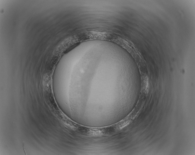 X0000083040701200702161707