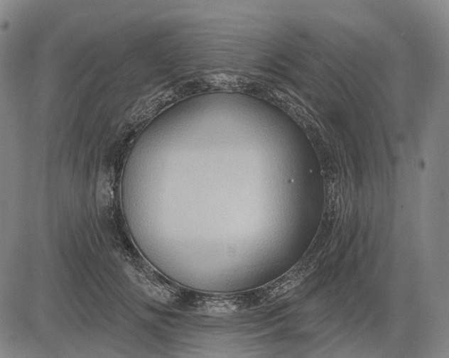 X0000083040702200702161707