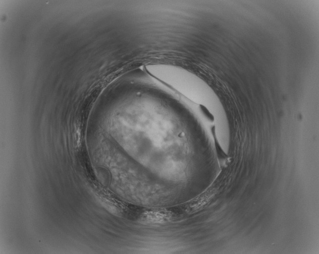 X0000083040703200702161707