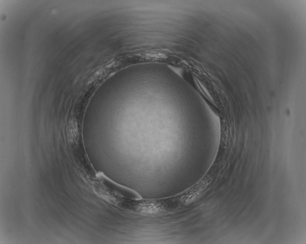 X0000083040704200702161707