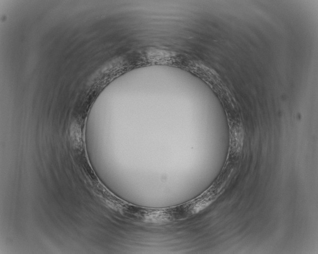 X0000083040705200702161706