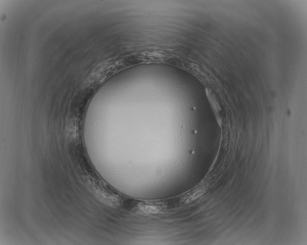 X0000083040706200702161706