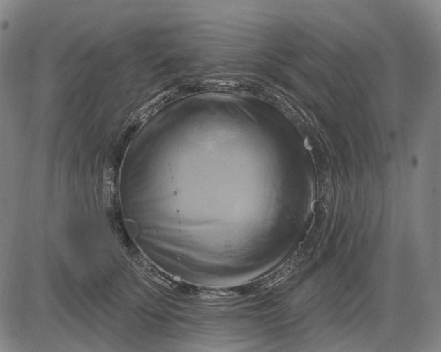 X0000083040707200702161706