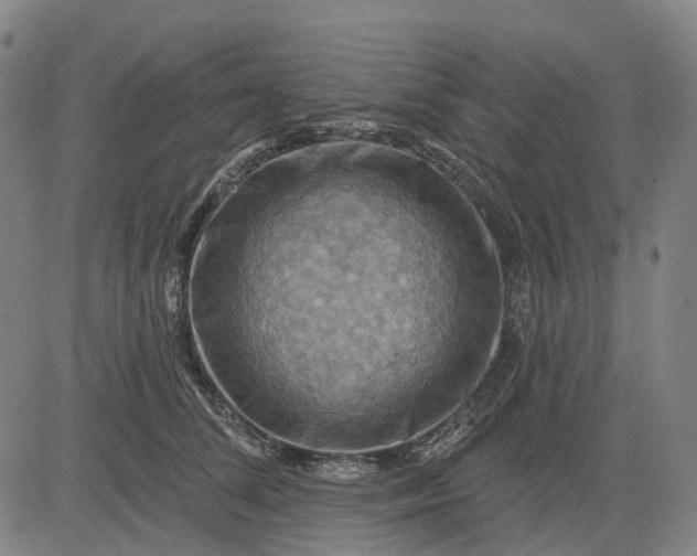 X0000083040708200702161706