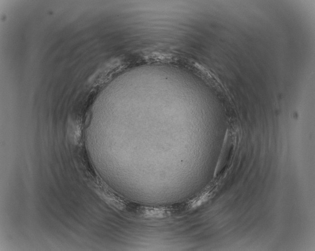 X0000083040709200702161706