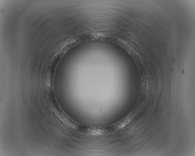 X0000083040710200702161706