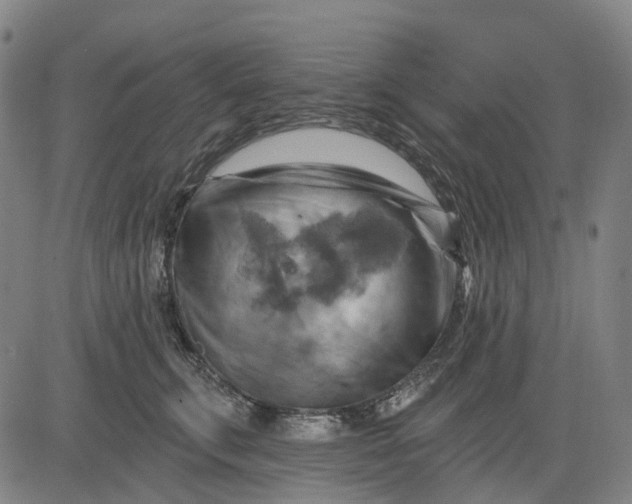 X0000083040711200702161706