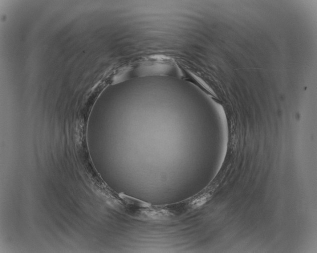 X0000083040712200702161706